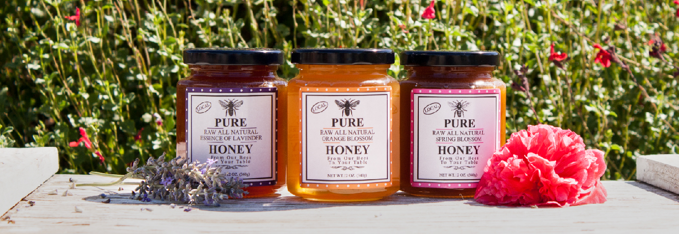 YanWonghenrysbullfrogbee